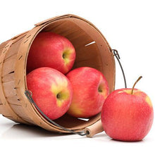 Load image into Gallery viewer, Anna Apple Tree