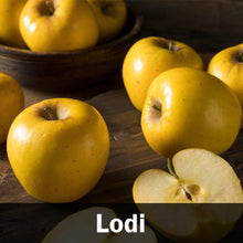 Load image into Gallery viewer, 5-in-1 Apple Tree