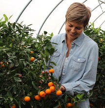 Load image into Gallery viewer, FALSE