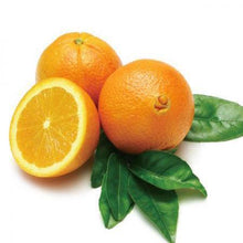 Load image into Gallery viewer, Navel Orange Tree - USDA Organic