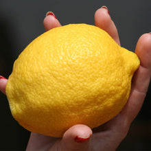 Load image into Gallery viewer, Eureka Lemon Tree

