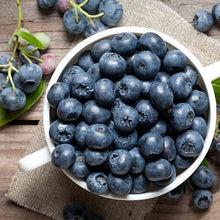 Load image into Gallery viewer, Toro Blueberry Bush - USDA Organic
